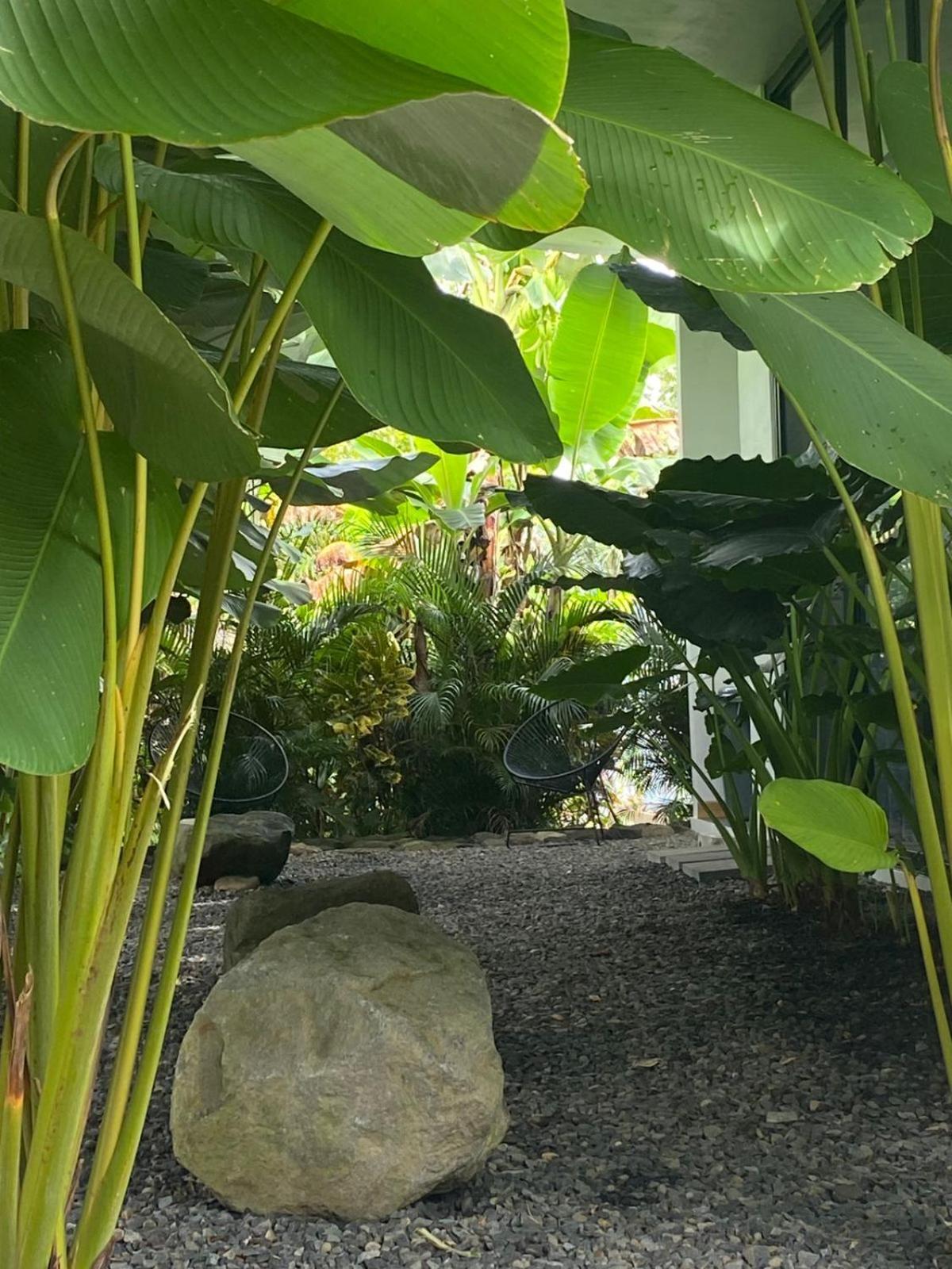 Toucan Home La Fortuna Bagian luar foto